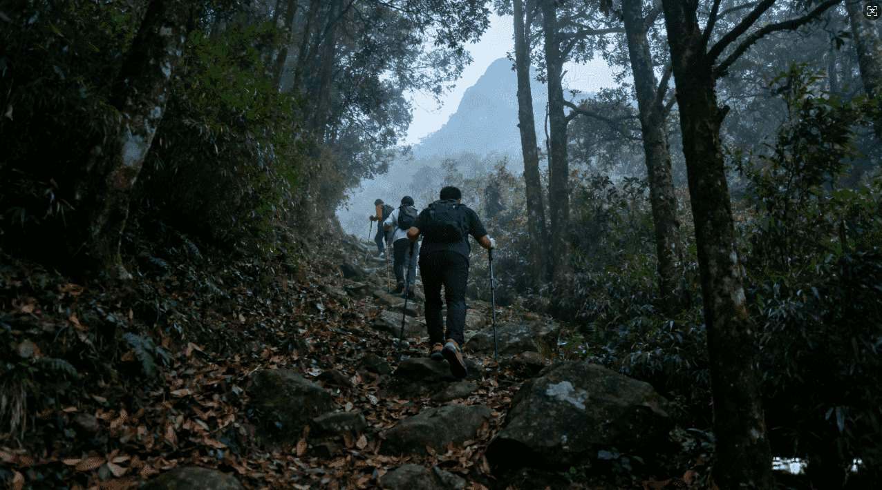 付费Instagram加速器：提升账号增长快速方案